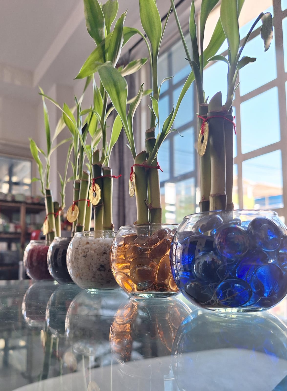 🌿 Bambú Decorativo