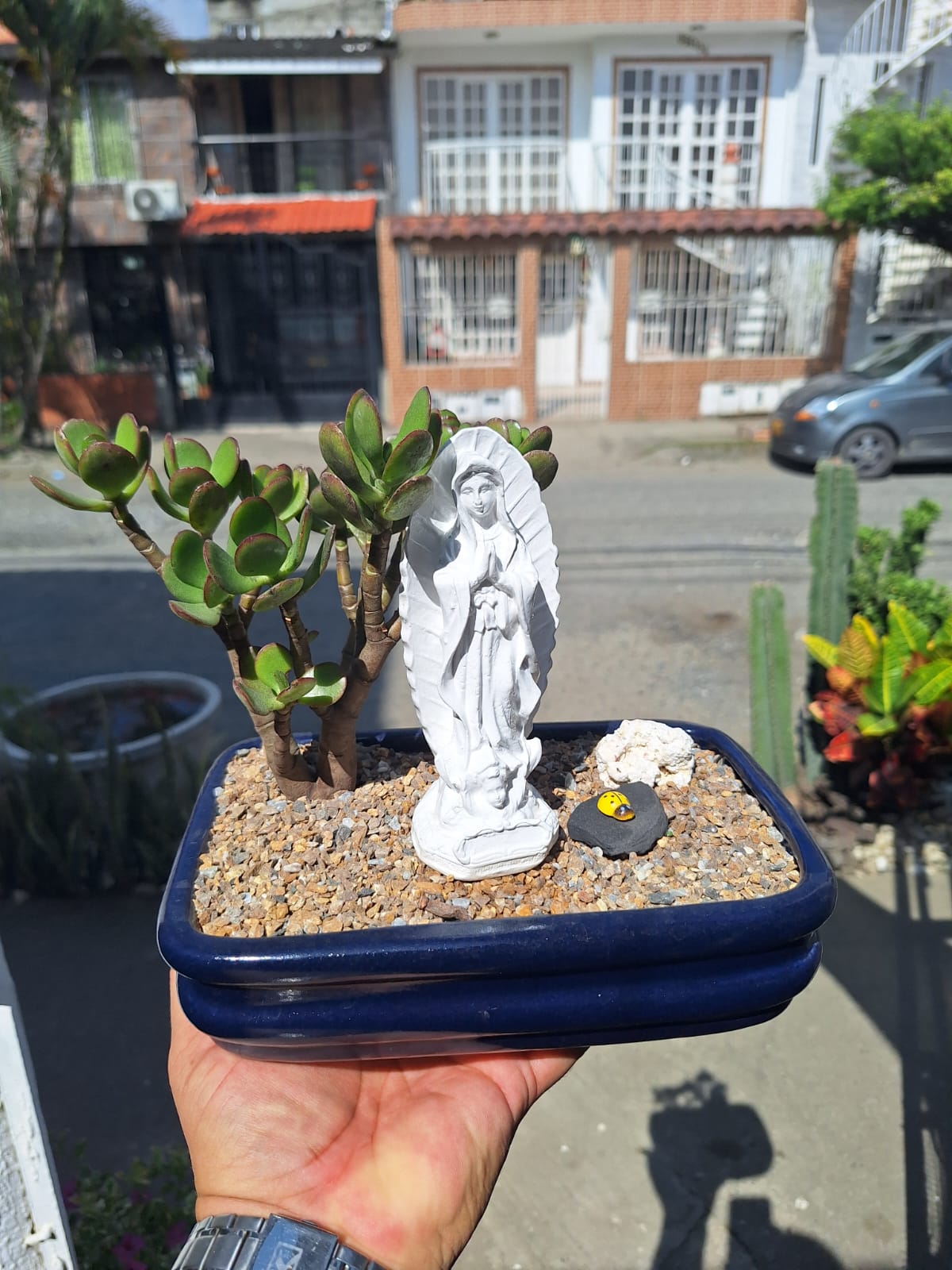 🌿 Jardín Zen