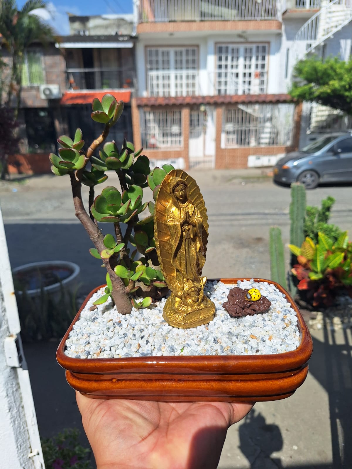 🌿 Jardín Zen