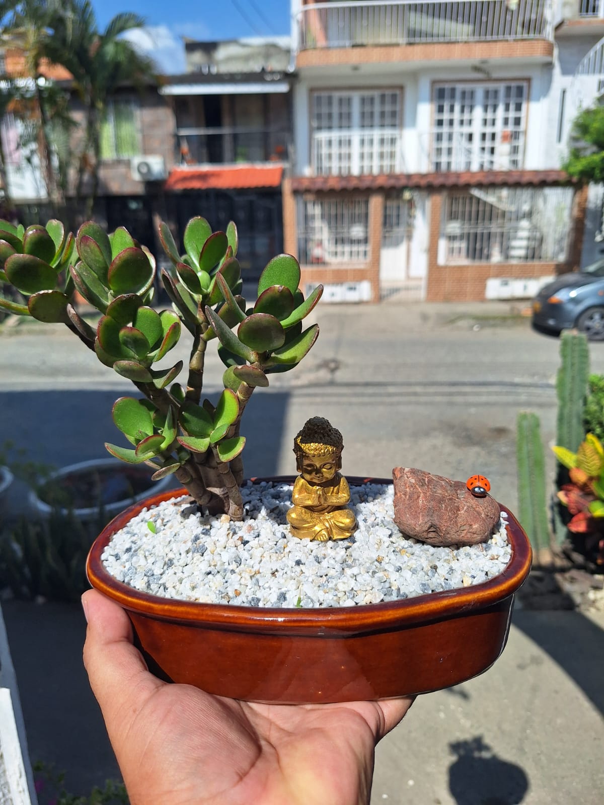 🌿 Jardín Zen
